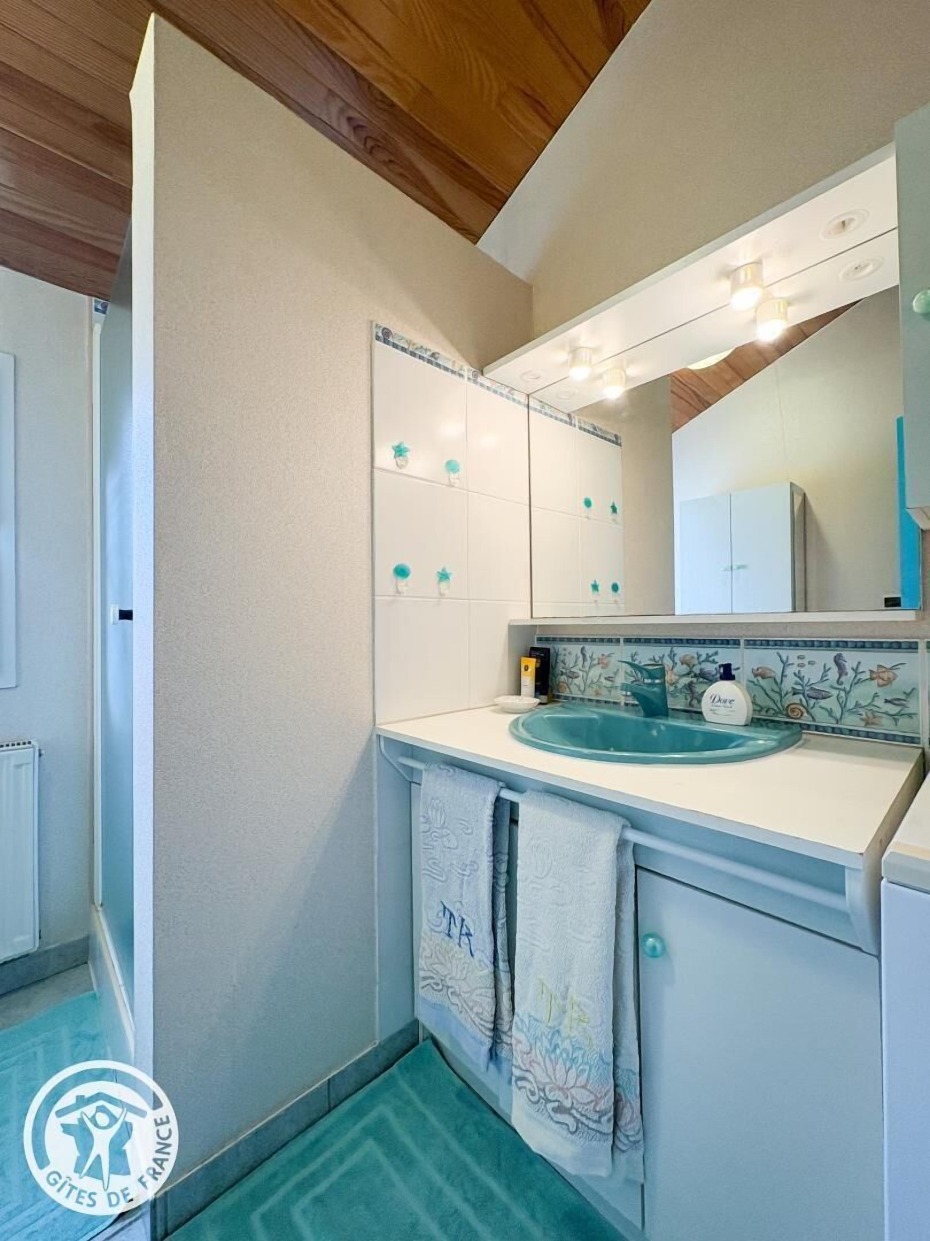 Une salle de bain avec un lavabo blanc, un miroir et un pare-feu en carreaux. Des serviettes sont suspendues à un porte-serviettes et un savon Dove est posé sur le comptoir.