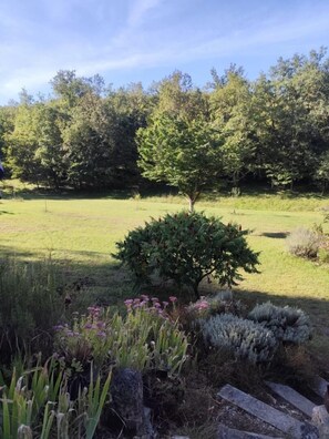 Property grounds - 46g12089 - Maxou - Gîte (MAXOU)