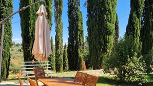 Un área de estar al aire libre con una mesa y sillas de madera, rodeada de altos cipreses bajo un cielo azul despejado.