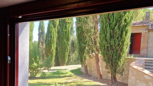 Vista desde una ventana a un patio con un muro de piedra, una puerta roja y árboles altos.