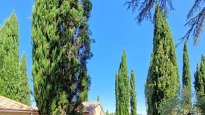 A stone pathway leading to a building with a tiled roof, surrounded by tall cypress trees and a stone wall. - Borgo Melograno - SOL Diesis Apartment (Toscana)