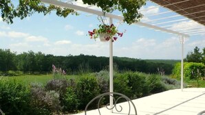En overdækket terrasse med et rundt bord og stole, en hængende blomsterkurv samt udsigt over et grønt landskab.