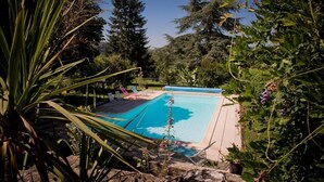 A rectangular swimming pool with a tiled deck, surrounded by lush greenery and trees. - Gîtes de France® - Chez Mamie (LACAVE)
