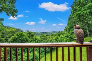 Property grounds - Angel's View: Dogs •Hot Tub •Mtn View • King Suite (Sevierville)