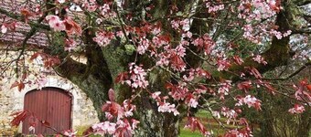 Gîtes de France® - La Toulousie