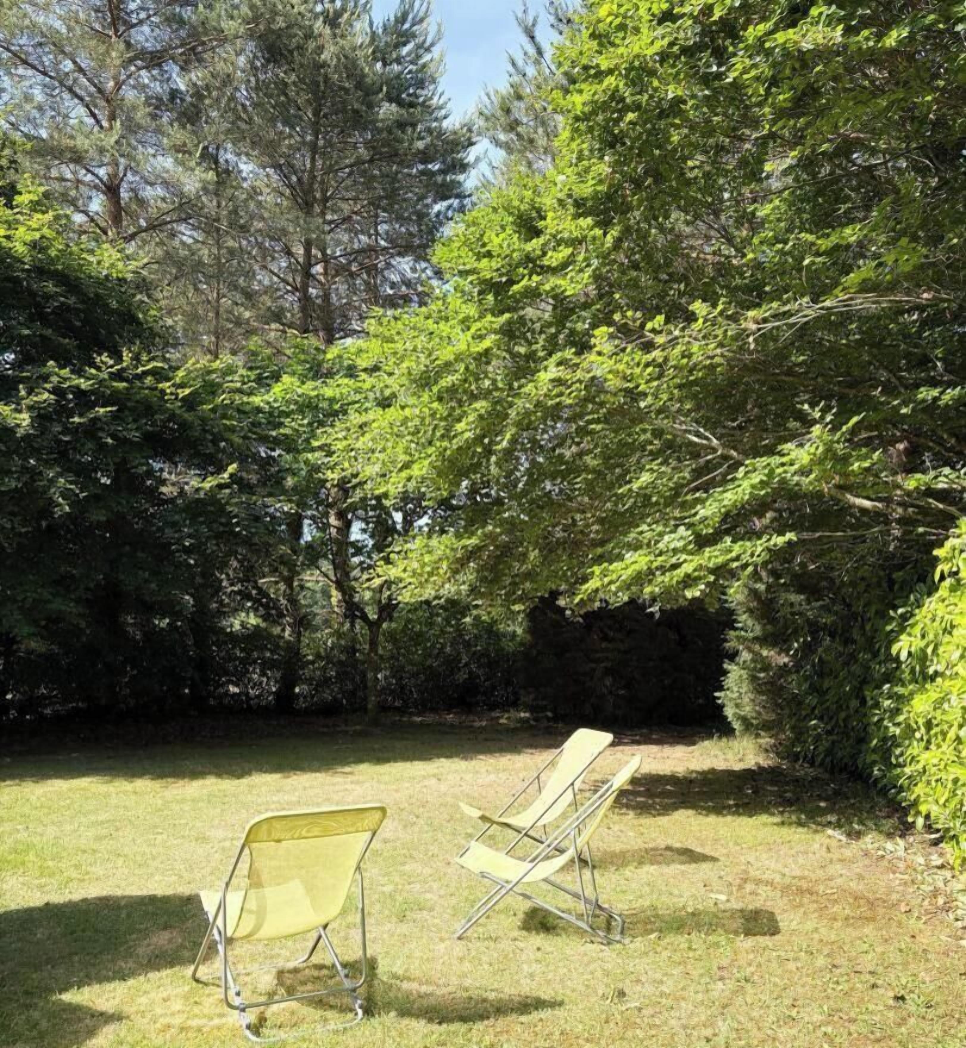 Two lawn chairs in a grassy area with dense trees in the background.