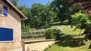 Une maison avec une porte bleue et un jardin où poussent différentes plantes et arbres.