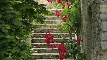 Overnatningsstedets område