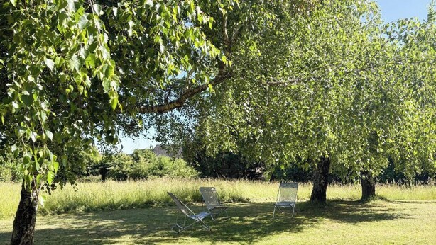 Un espacio de asientos al aire libre con dos sillas transparentes bajo árboles.