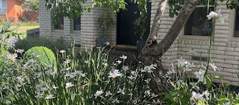 MOUNTVIEW residence is a gorgeous renovated house at the bottom of Mount Leura.