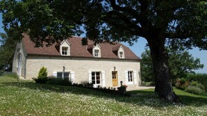 Une maison en pierre avec un toit en pente, un grand arbre devant et une pelouse parsemée de fleurs blanches.