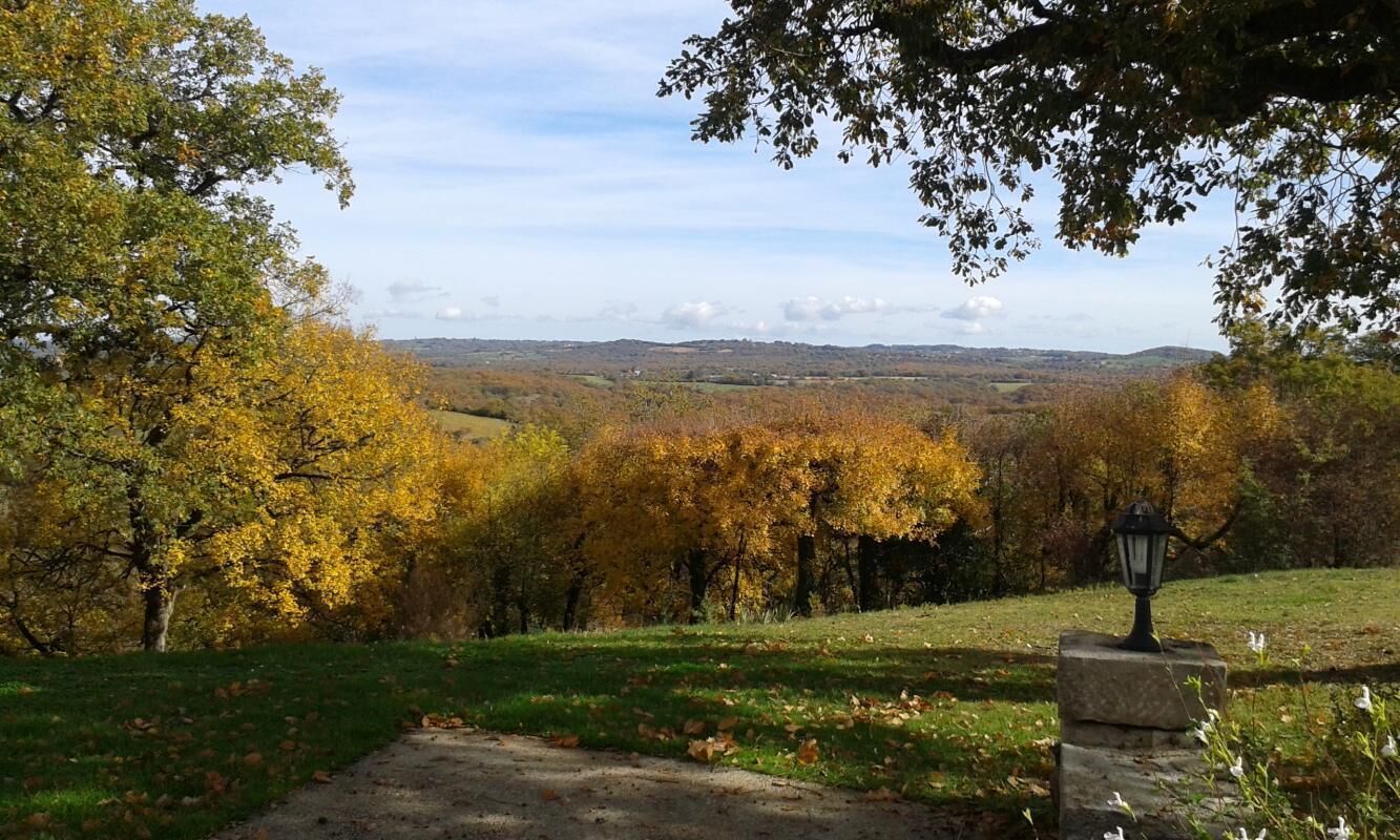 A pathway leading through a park with autumn foliage and a distant view of hills.