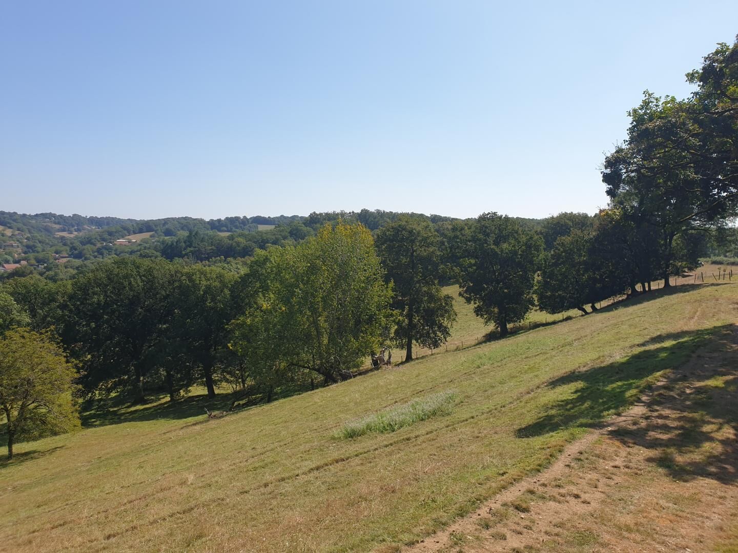 A rural landscape with rolling hills, scattered trees, and a clear sky.