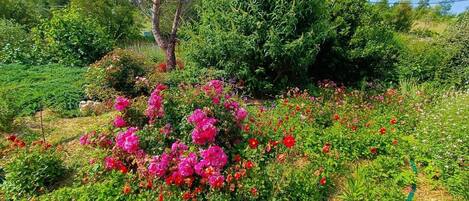 Overnattingsstedets uteområder