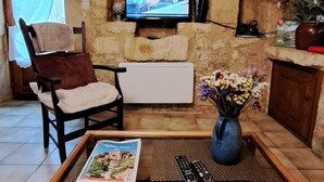 Un accogliente soggiorno con parete in pietra, televisore sopra un camino, una poltrona confortevole, un tavolino da caffè con una rivista e un vaso con fiori.