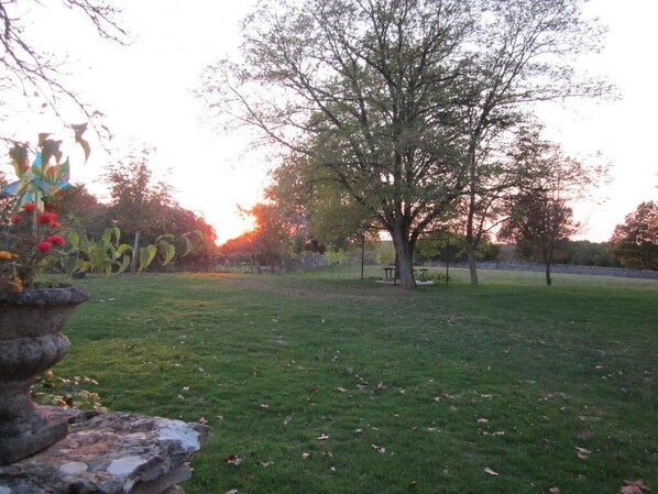 Property grounds
