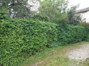 Parco della struttura