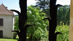 Vista a través de una ventana con un jardín y una casa al fondo.