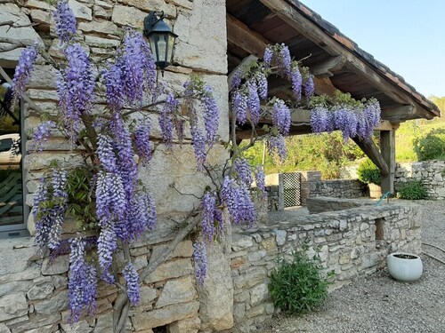 Les Hirondelles - MARCILHAC-SUR-CELE