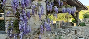 Les Hirondelles - MARCILHAC-SUR-CELE