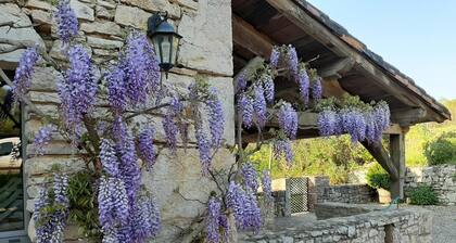 Les Hirondelles - MARCILHAC-SUR-CELE