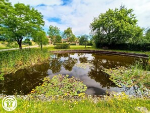 A serene pond surrounded by lush greenery and trees, with a clear sky above.