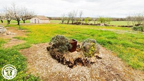 A rural landscape with a stone house, a gravel path, and a field of yellow flowers. - Gîtes de France® - La Bergerie (LALBENQUE)