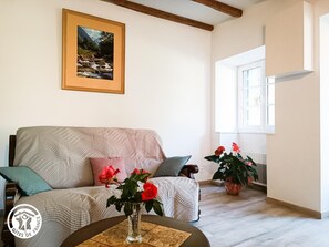 TV - Gîte les Trois Rivières - PRUDHOMAT (PRUDHOMAT)