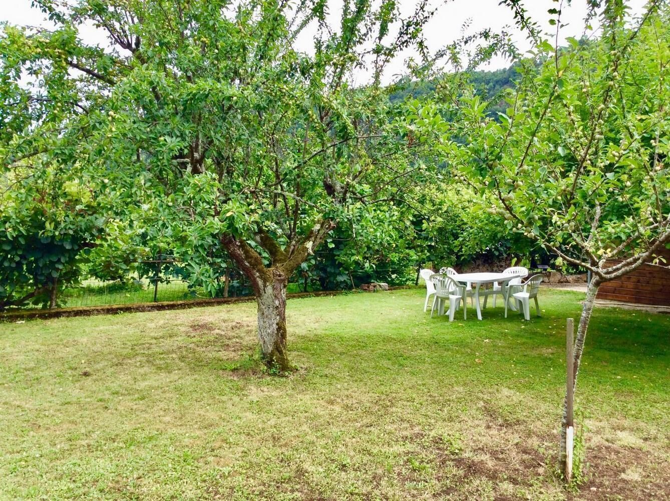 A grassy outdoor area with a tree and a table with chairs.