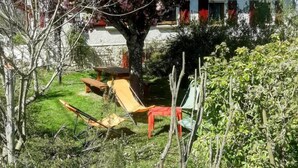 Ein Haus mit Garten, einer Bank und einem Baum mit rosa Blüten.