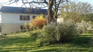 Ein Haus mit Schrägdach, ein großer Baum davor und einem gepflegten Rasen.