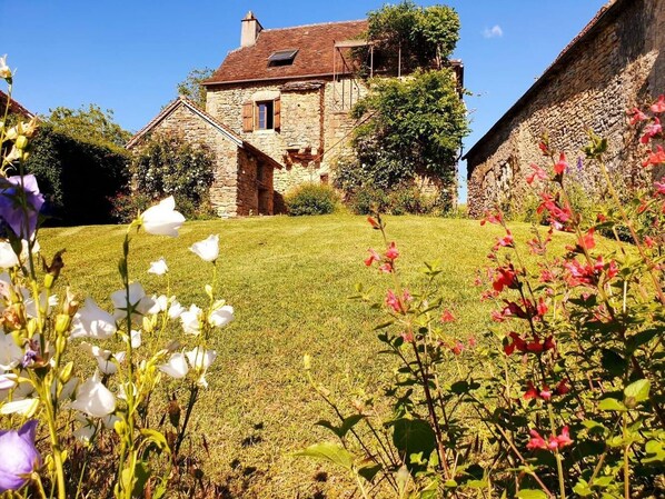 Property grounds - Gite Langèlerie - SAINT-MICHEL-LOUBEJOU (SAINT-MICHEL-LOUBEJOU)