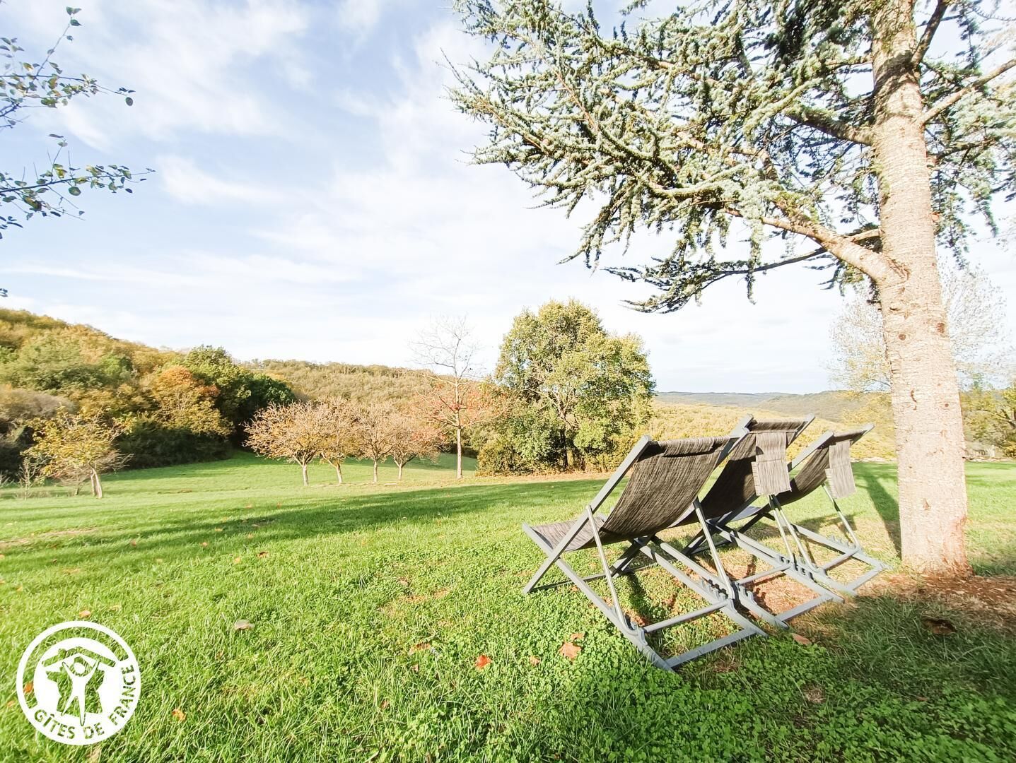 A hammock chair under a tree in a grassy field with a logo in the bottom left corner.
