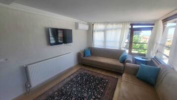 Una sala de estar con un sofá, un televisor, un radiador y una ventana con cortinas.