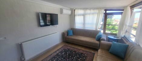 A living room with a sofa, a TV, a radiator, and a window with curtains.