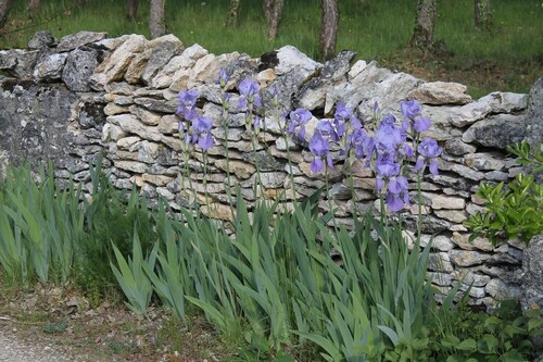 Gite Roujolis - LALBENQUE