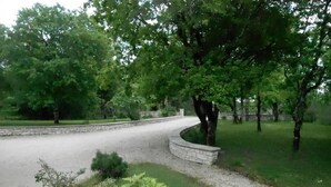 Un vialetto lastricato conduce a un muro di pietra, circondato da vegetazione rigogliosa e alberi.