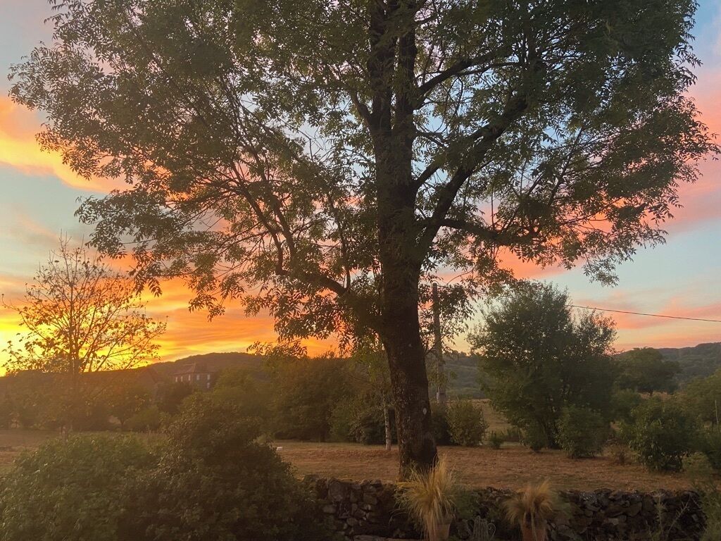 Ein Baum in einer ländlichen Landschaft mit Sonnenuntergang im Hintergrund.