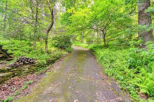 Un sendero en el bosque, con un muro de piedra a un lado y abundante follaje verde al otro.