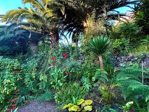 A lush garden with various plants and trees, including a prominent palm tree.