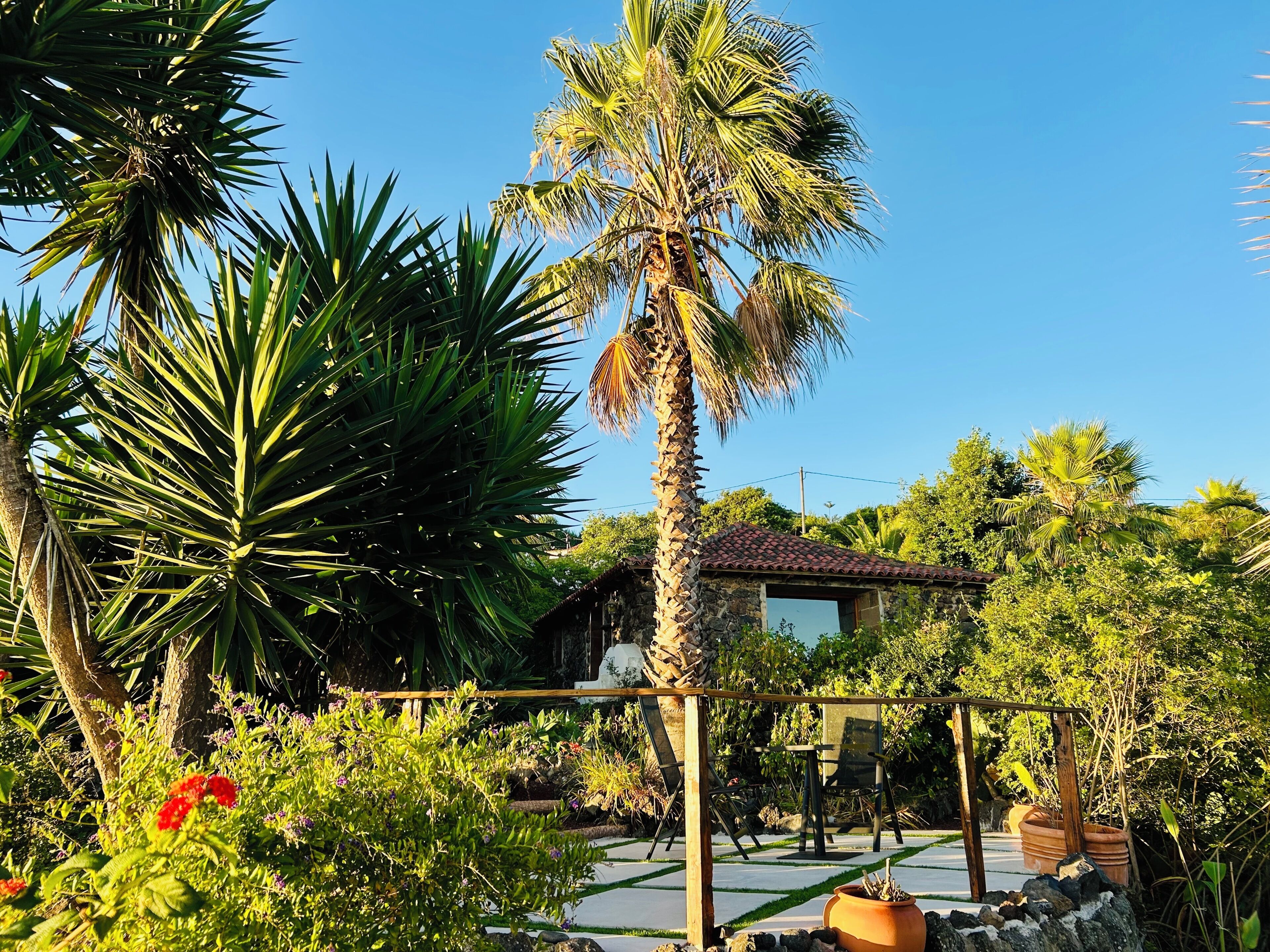 A tropical garden with palm trees, a patio area, and a rustic building with a tiled roof.