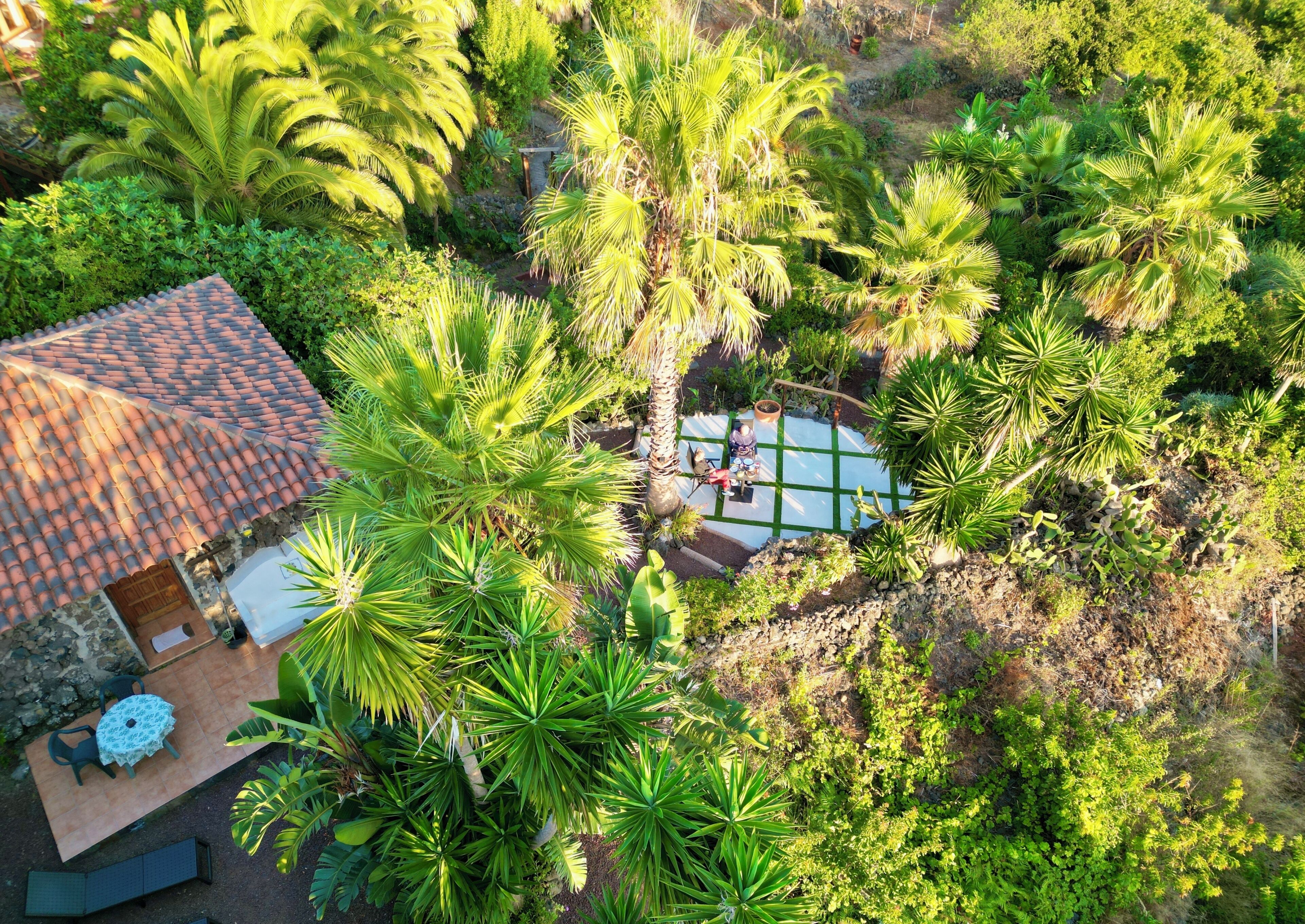 An aerial view of a property with a tiled roof, a patio area with a table and chairs, and surrounding lush greenery.