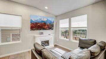 TV, fireplace, computer monitors