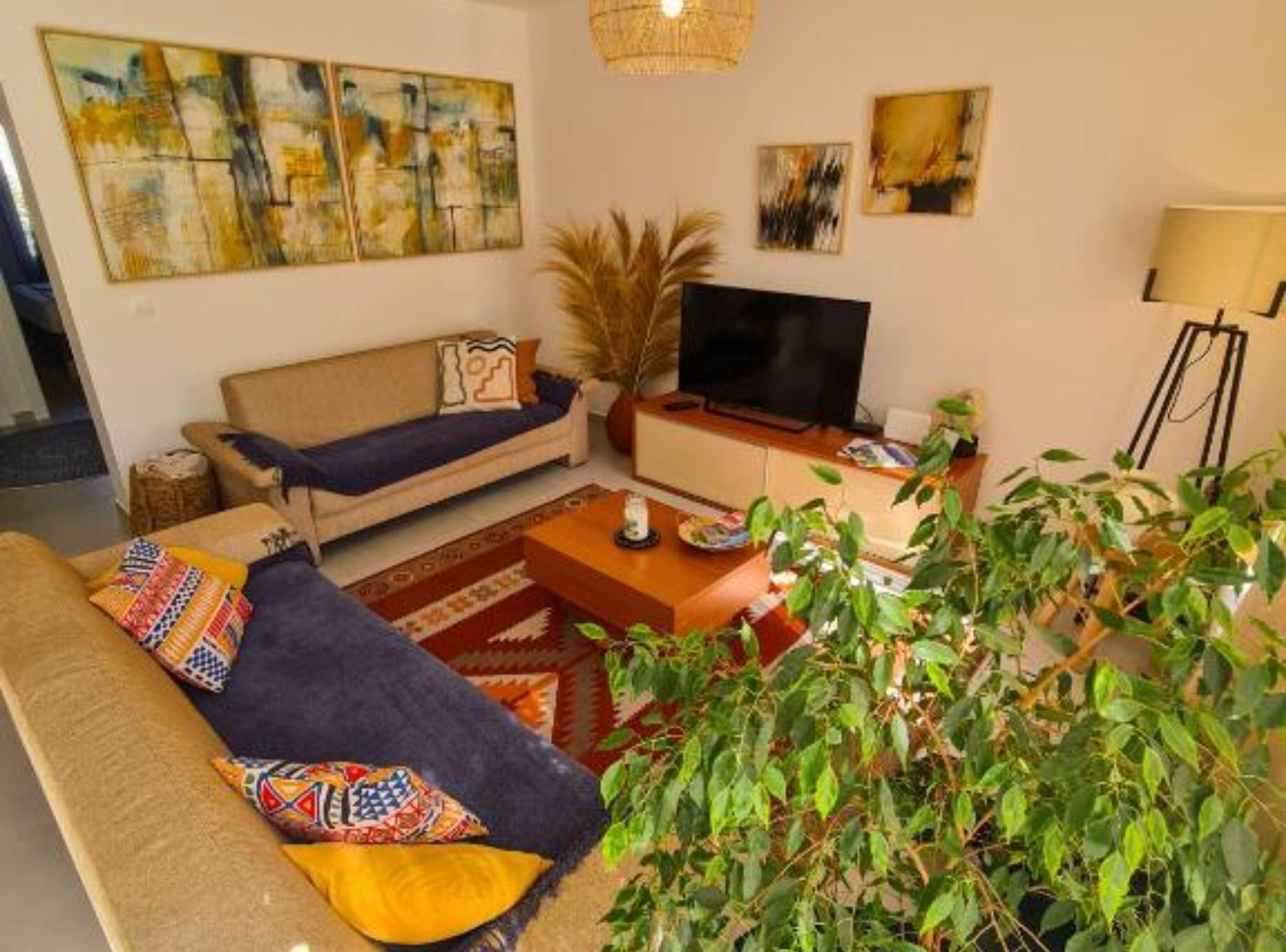 A living room with a sofa, television, coffee table, and a large potted plant.