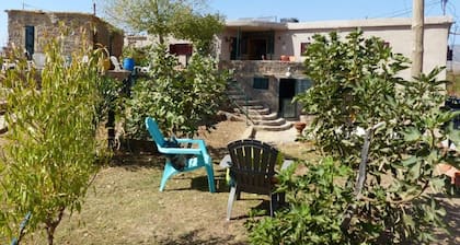 Gîte Mourik