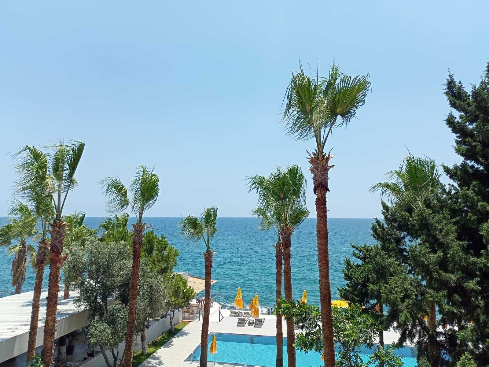 Un complexe hôtelier doté d’une piscine, de palmiers et offrant une vue sur la mer.