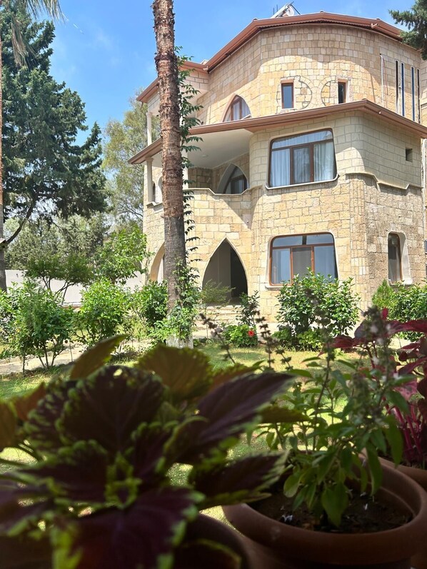 A stone building with multiple windows and a garden with potted plants. - Casalita Hotel (Erdemli)