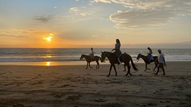 A beach scene with people riding horses and walking along the shore during sunset. - Hotel Royal Mancora (Máncora)