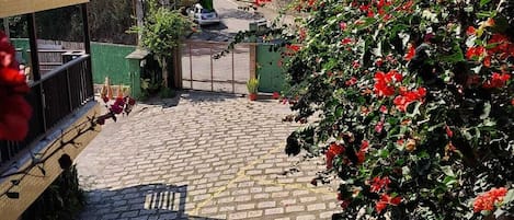 標準客房 | 庭園景