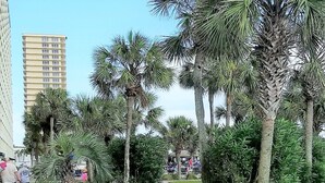 Un área ajardinada con palmeras y un camino.